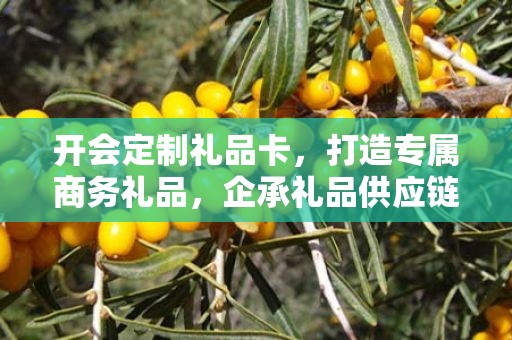 开会定制礼品卡，打造专属商务礼品，企承礼品供应链助力企业高效运营